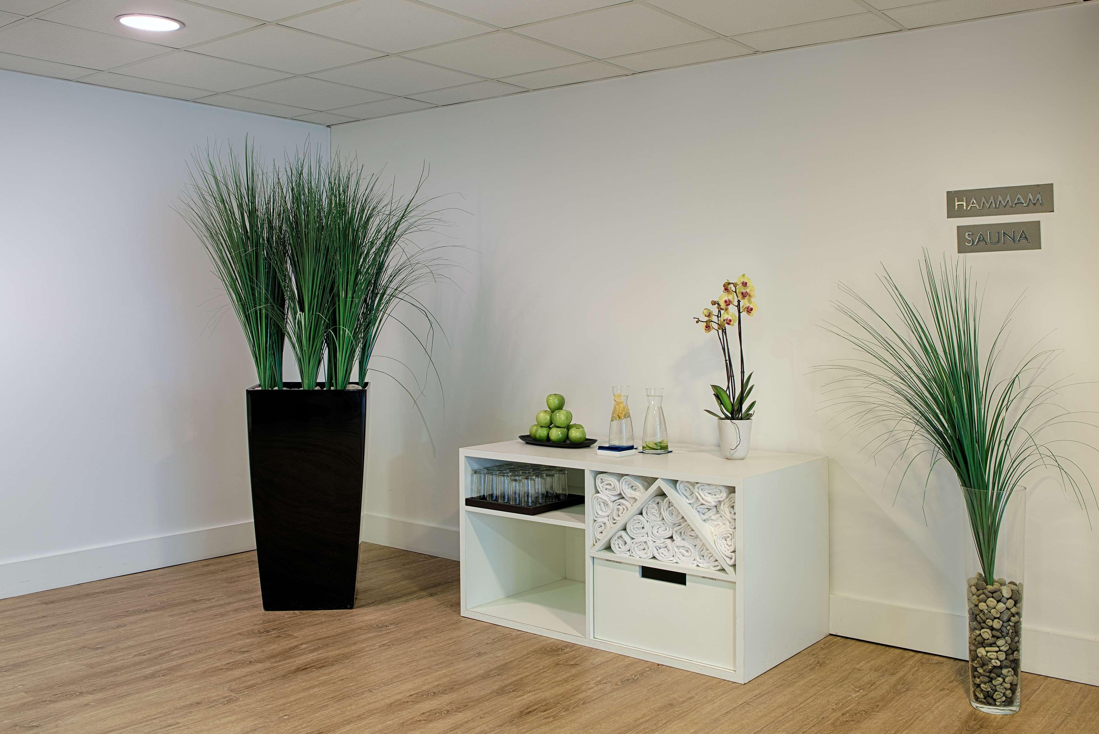 Hotel Nh Lyon Airport Colombier-Saugnieu